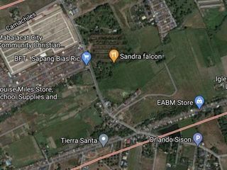 For Sale 10,685 sqm Lot Near Clark, Mabalacat, Pampanga