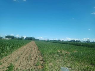 Prime Agri/Commercial Lot for Sale in Aurora Isabela near New Municipal Hall!
