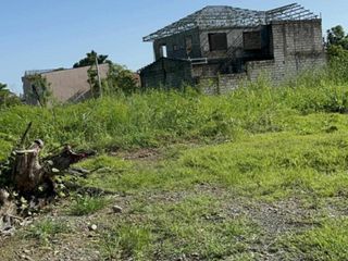 Lot 5,000 sqm, clean title in Cabanatuan City