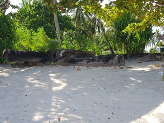 For Sale Prime Beach Lot in a Tranquil Place in Malinao Gen Luna nr Dedon Island