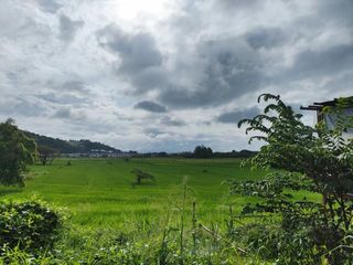 Residential/Farm/Industrial Lot for Sale in Binangonan Rizal.