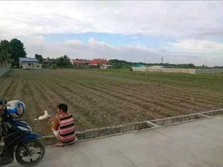 Agricultural Lot 2,000 sqm, clean title in Purok 4 Camias Magalang, Pampanga