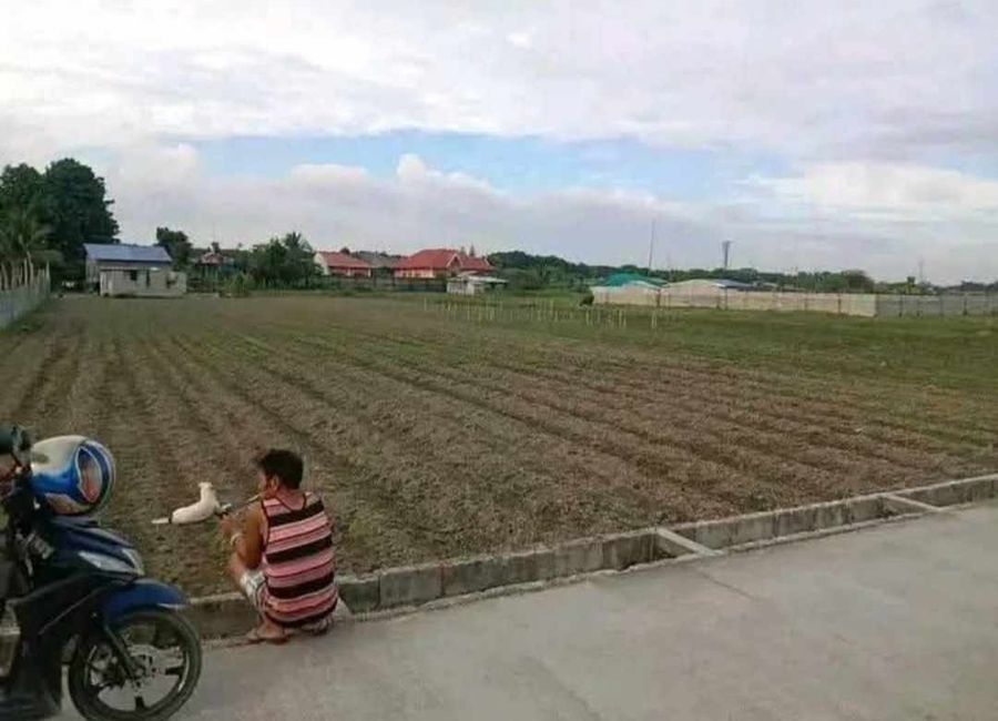 Agricultural Lot 2,000 sqm, clean title in Purok 4 Camias Magalang, Pampanga