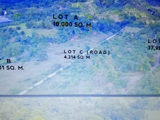 7 HAS Agricultural Lot for Sale - Pililia, Rizal