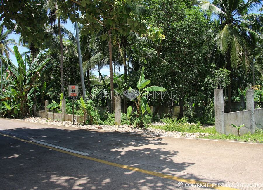 For Sale Fenced and Landscaped Property in Camotes Island, Cebu in Consuelo