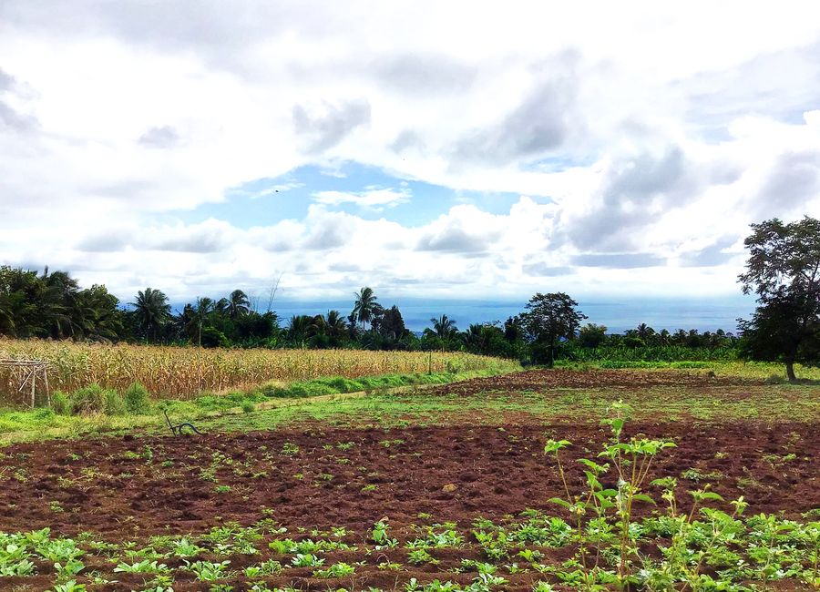 For Sale Overlooking 9 HECTARES Land Near Eden, Toril Davao @Php 800/sqm