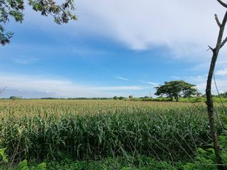 Commercial Lot for sale along Magalang-Arayat road