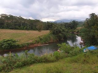 For lease 25/sq.m @ 8.5 Has Agri. Raw Lot in Lantud, Talakag, Bukidnon
