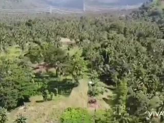 For Sale 12HAS Lot near Franklin Baker Sta Cruz Davao Del Sur in Santa Cruz