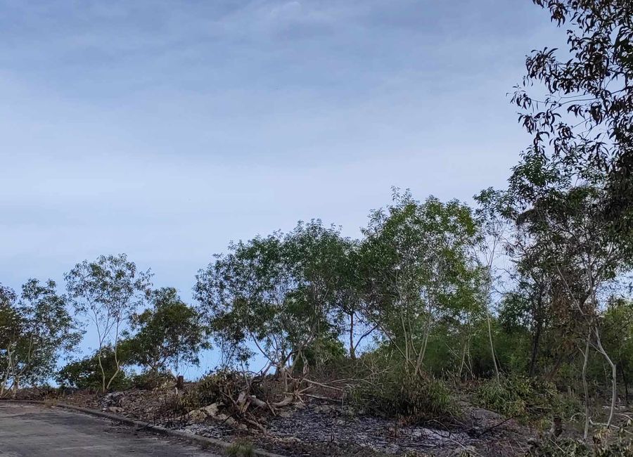 Lot for Sale located in Biking, Dauis, Panglao Island, Bohol