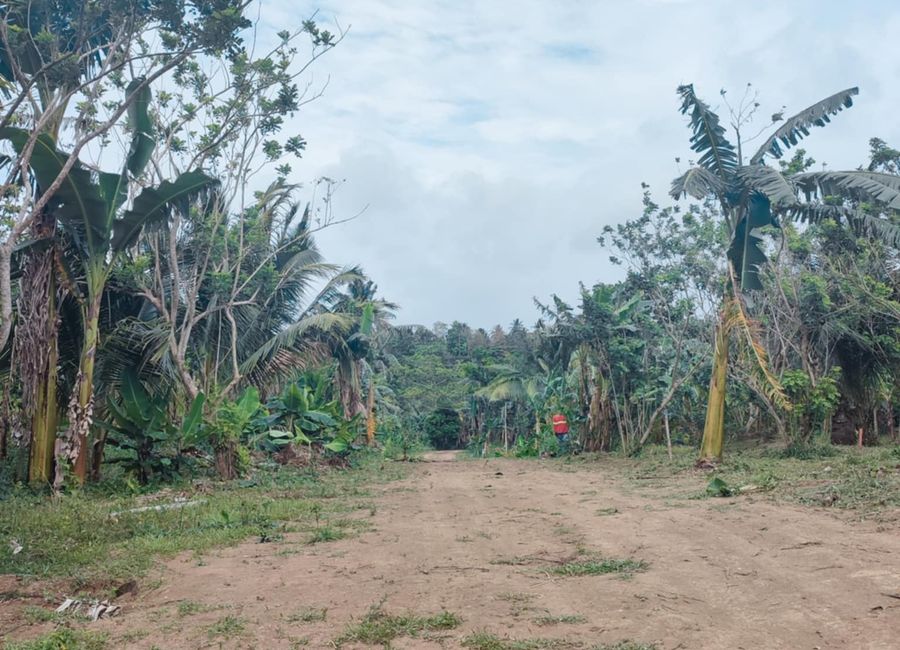 Prime Investment: Farm-to-Market Property Near Tagaytay & Schools