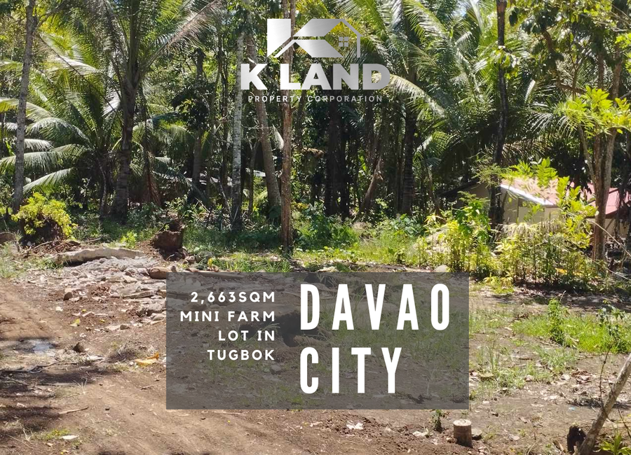 Ideal Agricultural Lot: 2,663 sqm in Brgy. Angalan, Tugbok
