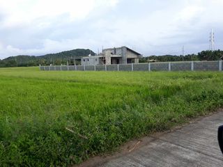 For Sale! Agriculture lot or Residential Lot