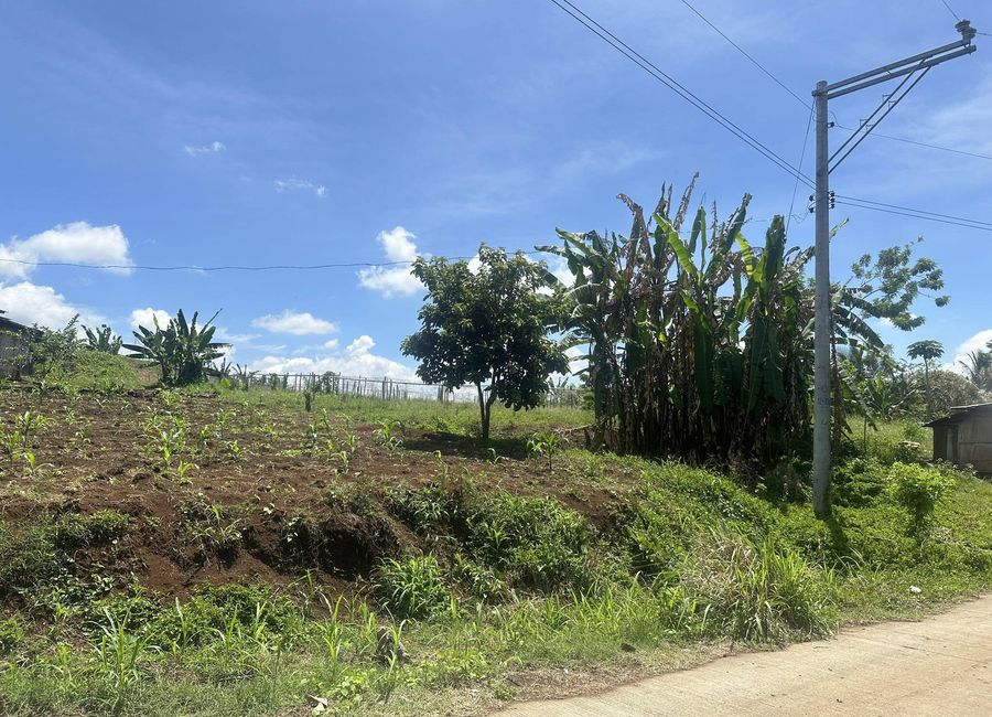 1 Hectare overlooking property in Eden-Bayabas Toril