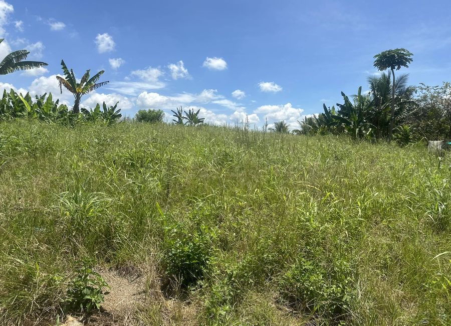 1 Hectare overlooking property in Eden-Bayabas Toril