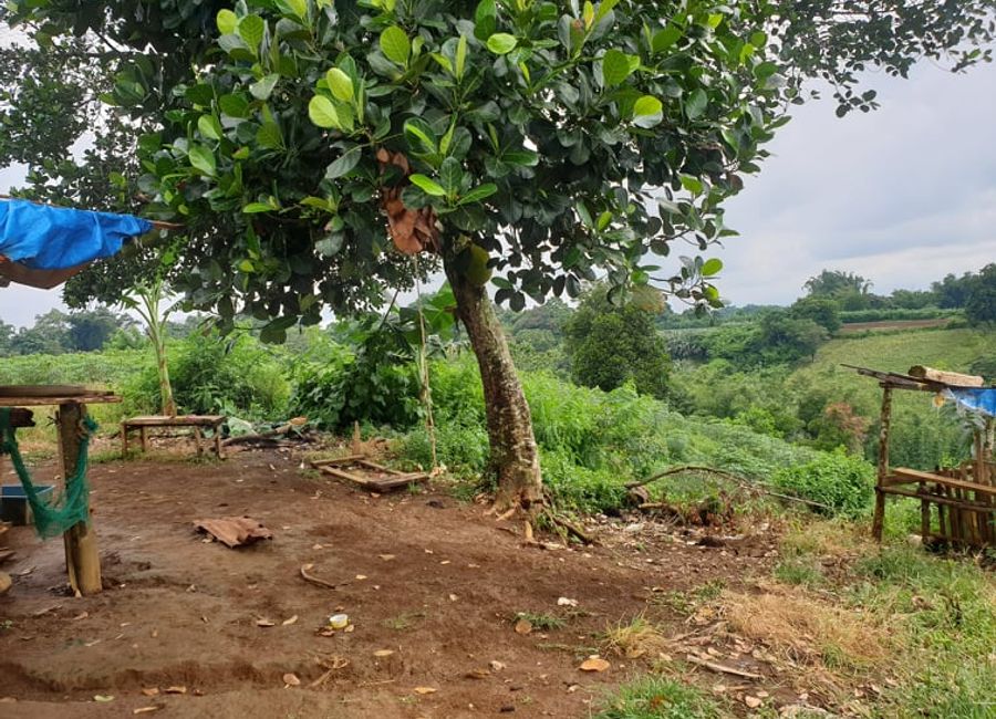 For Sale 2.5 Hectares Farmland at Brgy. Nangka, Libona, Bukidnon
