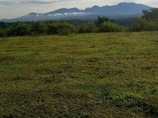 For Sale 50/sqm of 3.37 Hectares Farmland in Talakag, Bukidnon