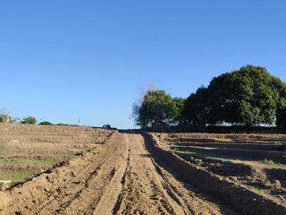 129sqm Residential Lot BAYLEAF RESIDENCES BRGY.PILPILA, STA.IGNACIA, TARLAC (4)