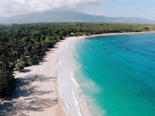 1.3 HECTARE BEACH LOT IN DAHICAN FOR SALE