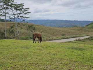 Switzerland feels sub-suharan Farmville 1000sqm for only 360k in Bukidnon