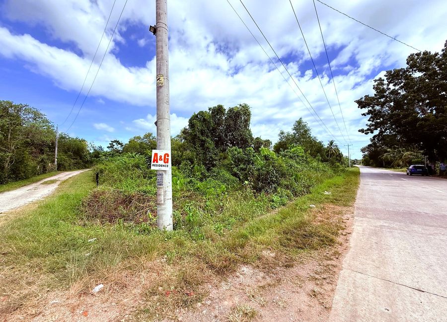 Prime Corner Lot For Sale - Dauis, Bohol