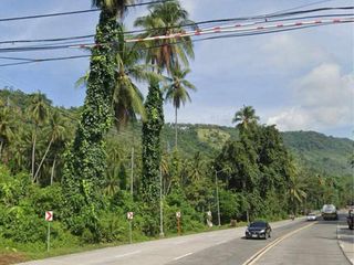 for sale 1.2 hectare lot along highway Sta. Cruz Davao Del Sur