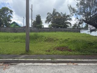 Lot in Royale Tagaytay Estates Phase 1 for SALE! 300 sqm at 15k per sqm