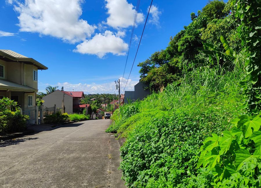 296 sqm Lot For Sale inside subdivision in Consolacion, Cebu
