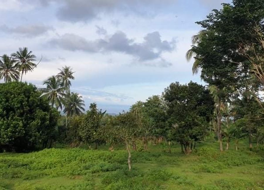 Residential Lot with Ocean and Mountain View in Mampas, Valencia ID 14744