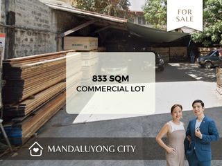 Mandaluyong City Commercial Lot for Sale!