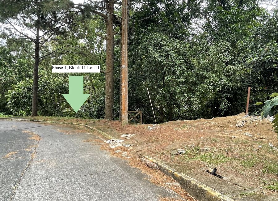 Rush Sale: Exclusive Residential Lot in Canyon Woods, near Tagaytay (Owner leaving)