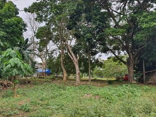 For Sale 150 sqm Lot in Hacienda Grande Subd. Catalunan Grande Davao City