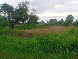 1 Hectare Agricultural Lot for sale in Lasang, Davao City