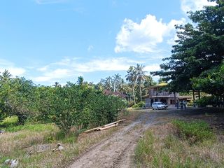 For Sale 30 Hectares Lot in Bunawan, Davao City, Davao del Sur