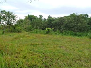5 Hectares Farm Lot for sale in Calinan, Marilog, Davao City