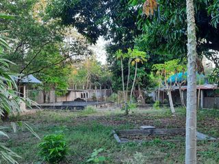 Farm Lot with House for Sale in Nueva Ecija, Cabiao