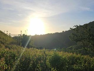 PROMO MINIFARM LOT 1009SQM 380K only in Salaysay, Marilog Davao City