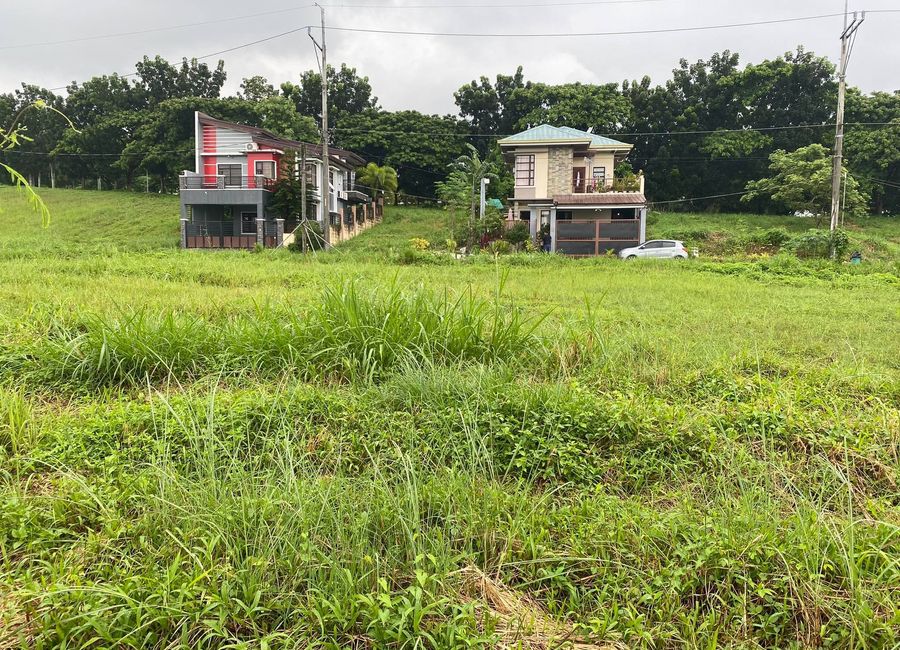 240 sqm , PROMO PRICE 14K, PLUS VAT Lot for sale in COLINAS VERDES SJDM