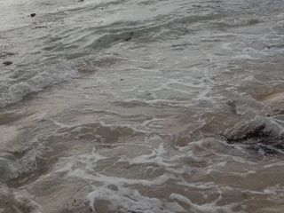 1,000 sqm Beach Lot in Dahican, Mati City, Davao Oriental - PHP 6M