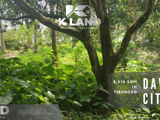 Prime 8,510 sqm Lot for Sale in Tibungco, Davao City