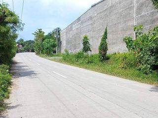 For Sale 2 Hectares Industrial Lot in Mahayag, Davao City, Davao del Sur