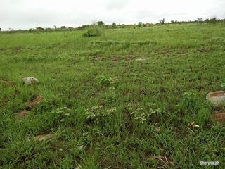 Pantabangan, Nueva Ecija Farm Land For Sale
