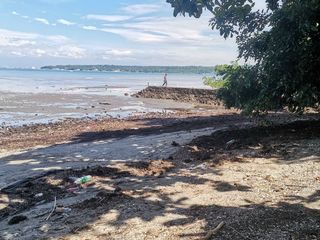 Beach Lot for sale at Peñaplata, Island of garden Samal, Samal