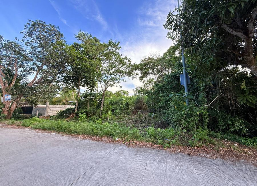 Lot Near Coastal Area of Tangnan, Panglao