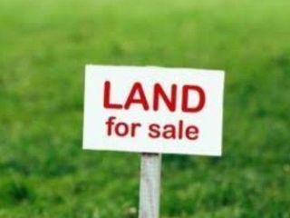 For Sale: Prime Lot in Muntinlupa City, 19,373 sqm  along  Manila South Road