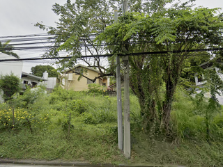 350 sqm Residential Lot FOR SALE in 87 Concha Cruz Drive, BF Homes Parañaque