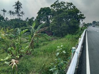 Commercial Lot along Diokno Highway near Tagaytay 2000sqm