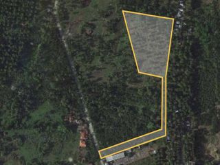 14,070 sqm lot  for Sale in Bunawan Davao City