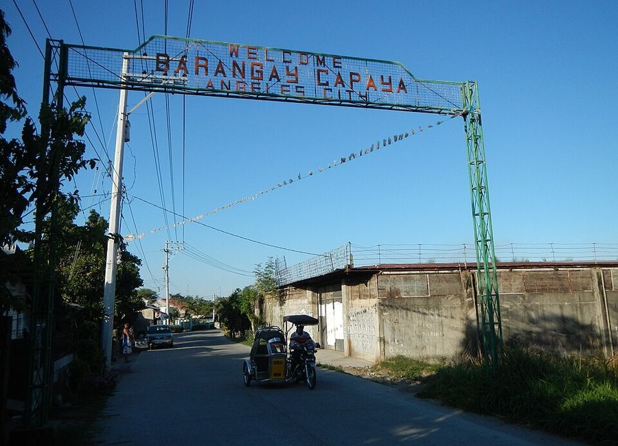 Residential Lot 1,100 sqm in Capaya 1 Angeles City, Pampanga for Sale
