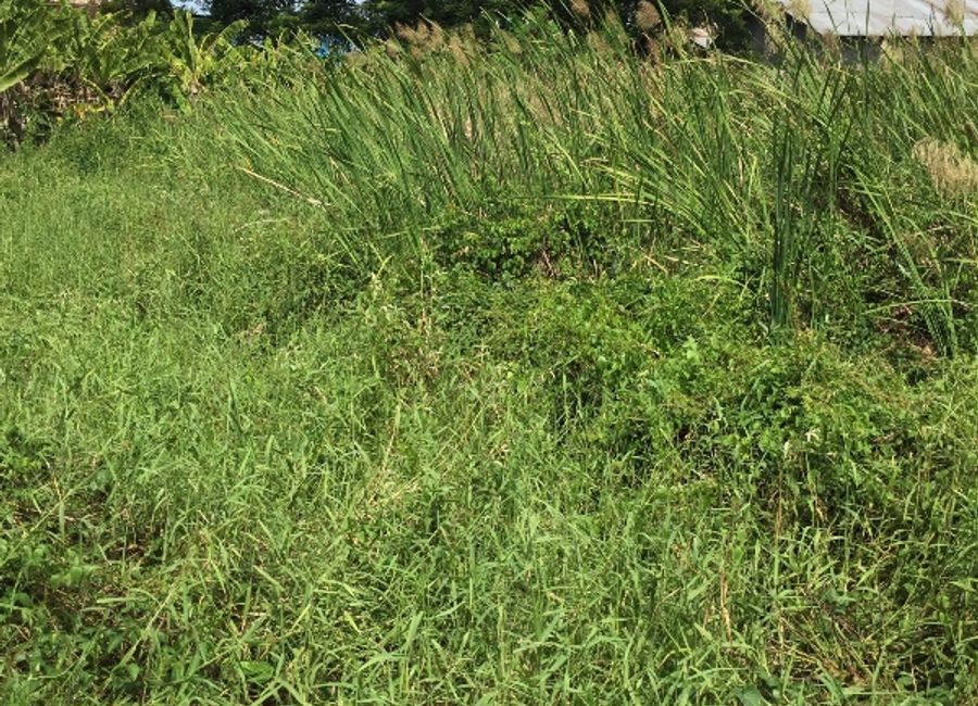 439 sqm Vacant Lot for Sale in Malolos City, Bulacan